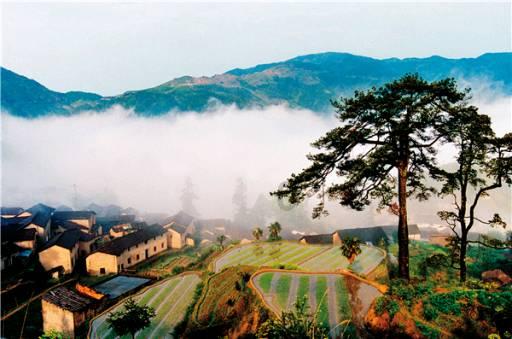 天堂契约