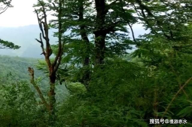 指南针(300803.SZ)：2023年净利润0.73亿元 同比下降78.54%