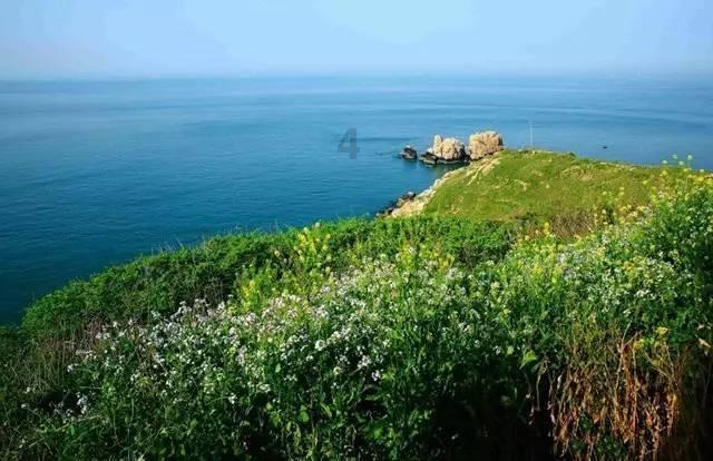 沪江开心词场