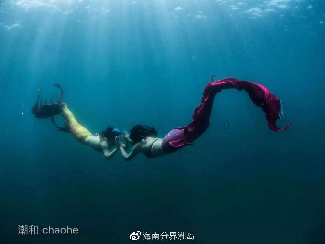 敦朴基金被警示:关联交易未披露等