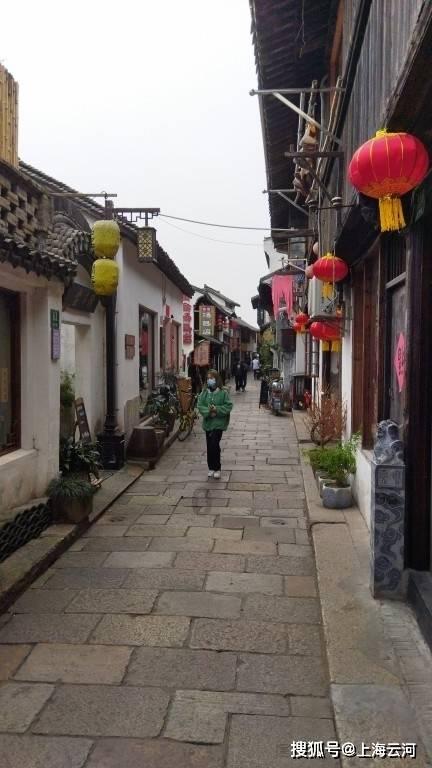 动物帮帮忙保卫家园